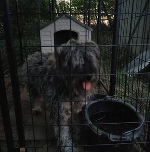 Meet your Posher, Justine